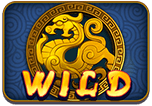 symbol_wild